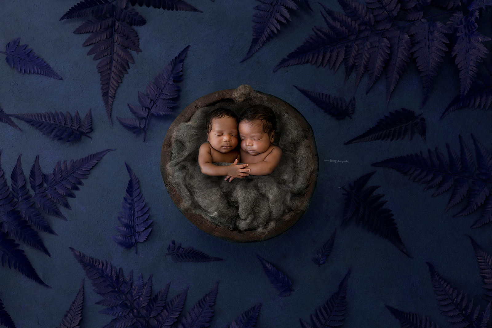 newborn twins photography dallas tx woodland