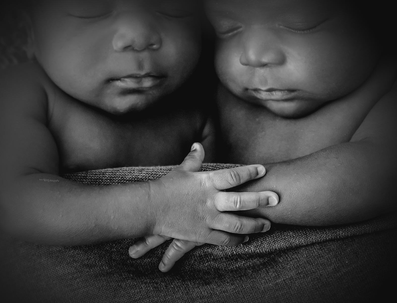 newborn twins photos dallas tx
