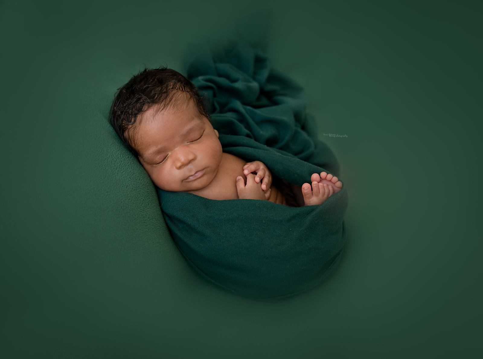 twin baby photography dallas tx