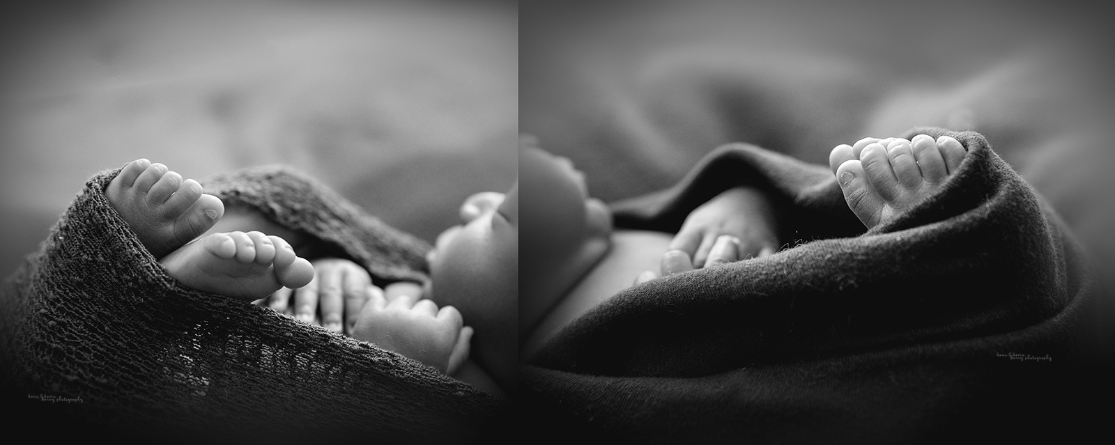 twin newborn photography dallas tx