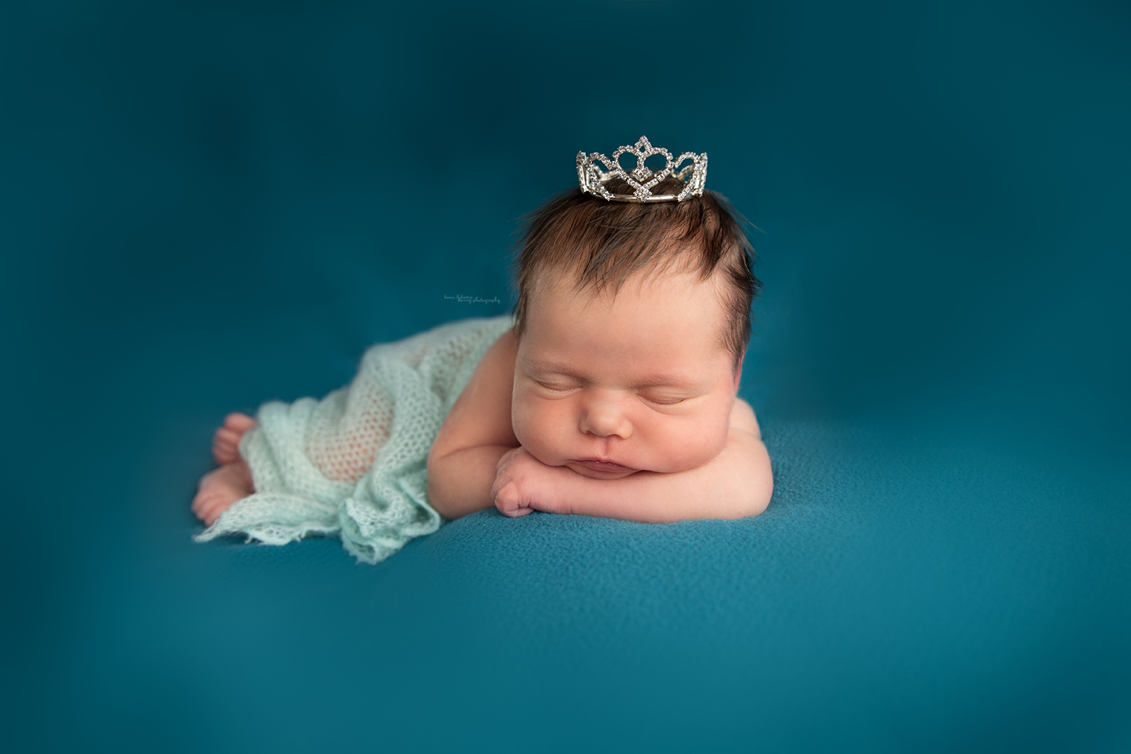 girl newborn photography dallas tx dani adams barry