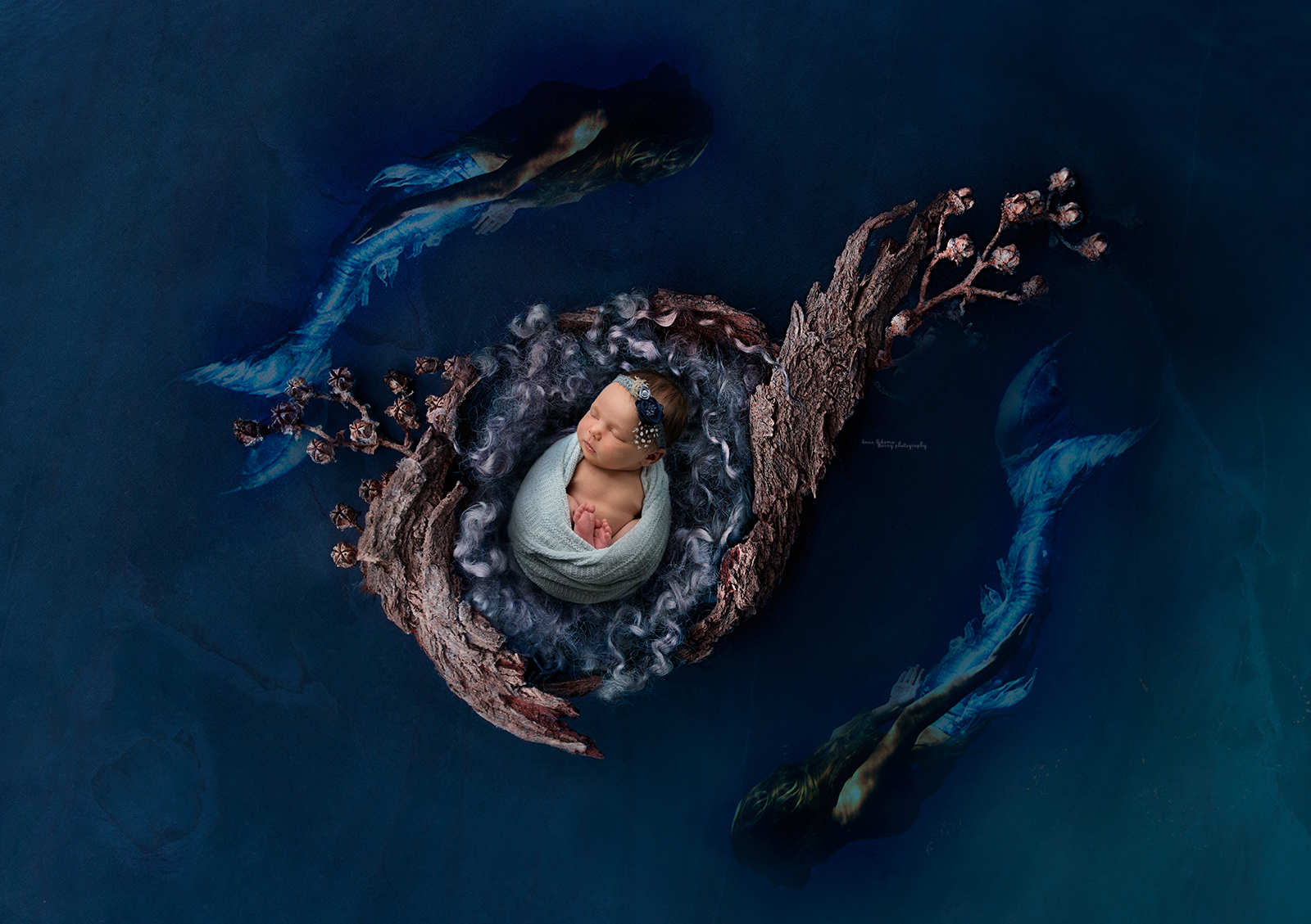 mermaid newborn photography dallas girl ideas