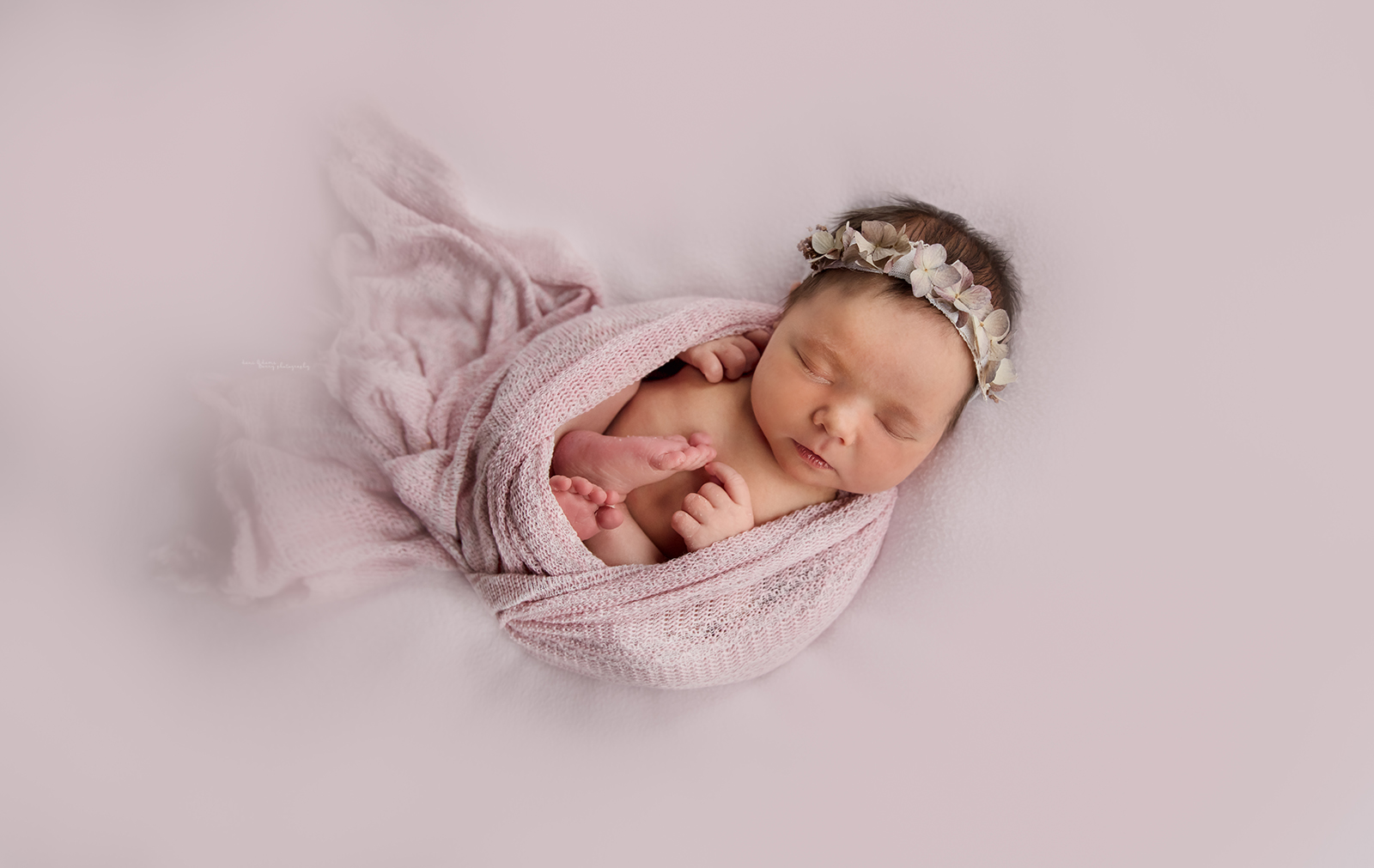 newborn photography dallas girl photos
