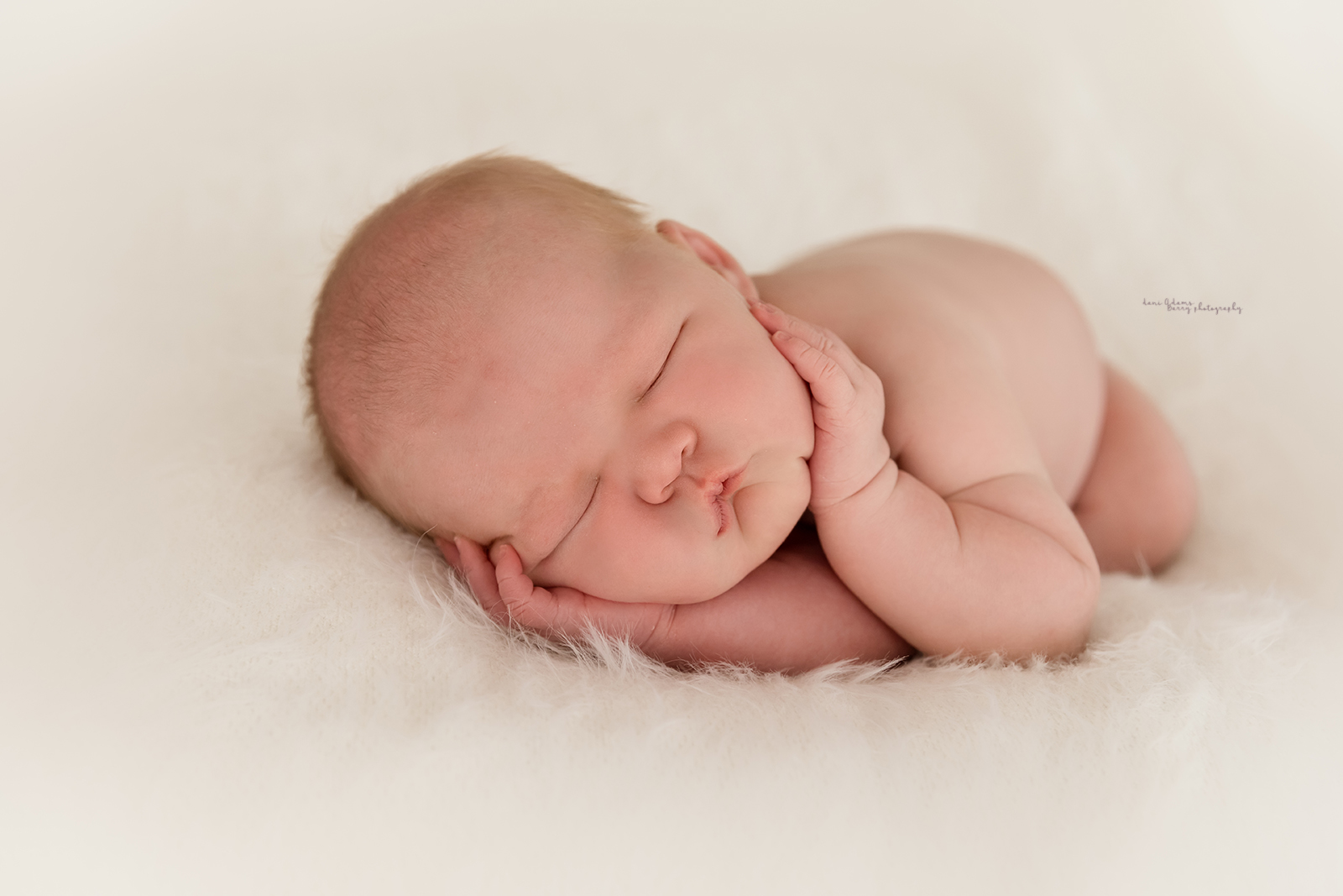baby girl newborn photography dallas tx