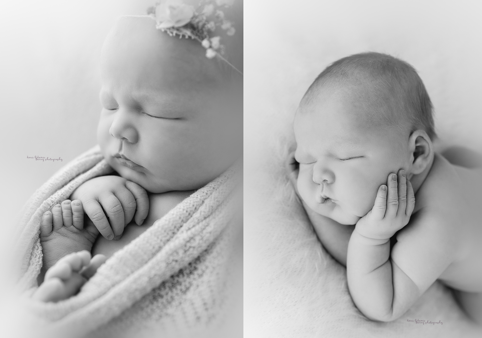 girl newborn photography dallas tx