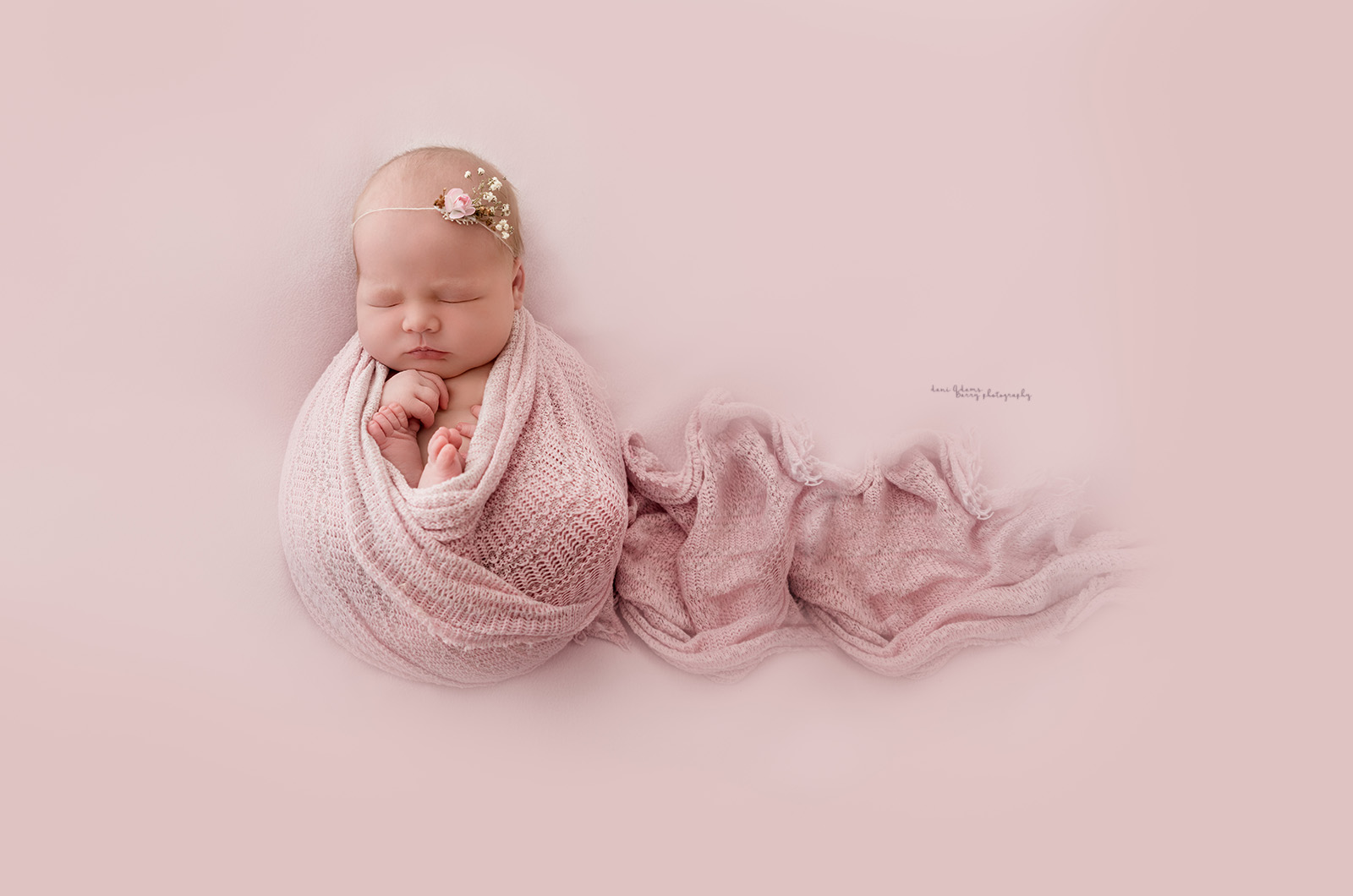 newborn photography dallas tx baby girl
