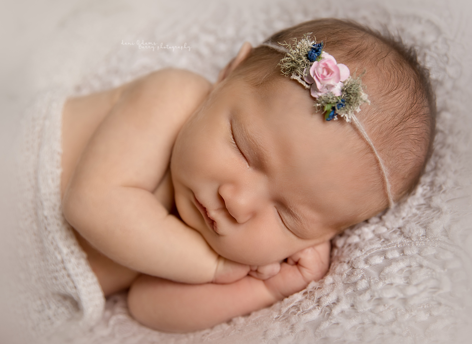 frisco newborn photographer dallas tx