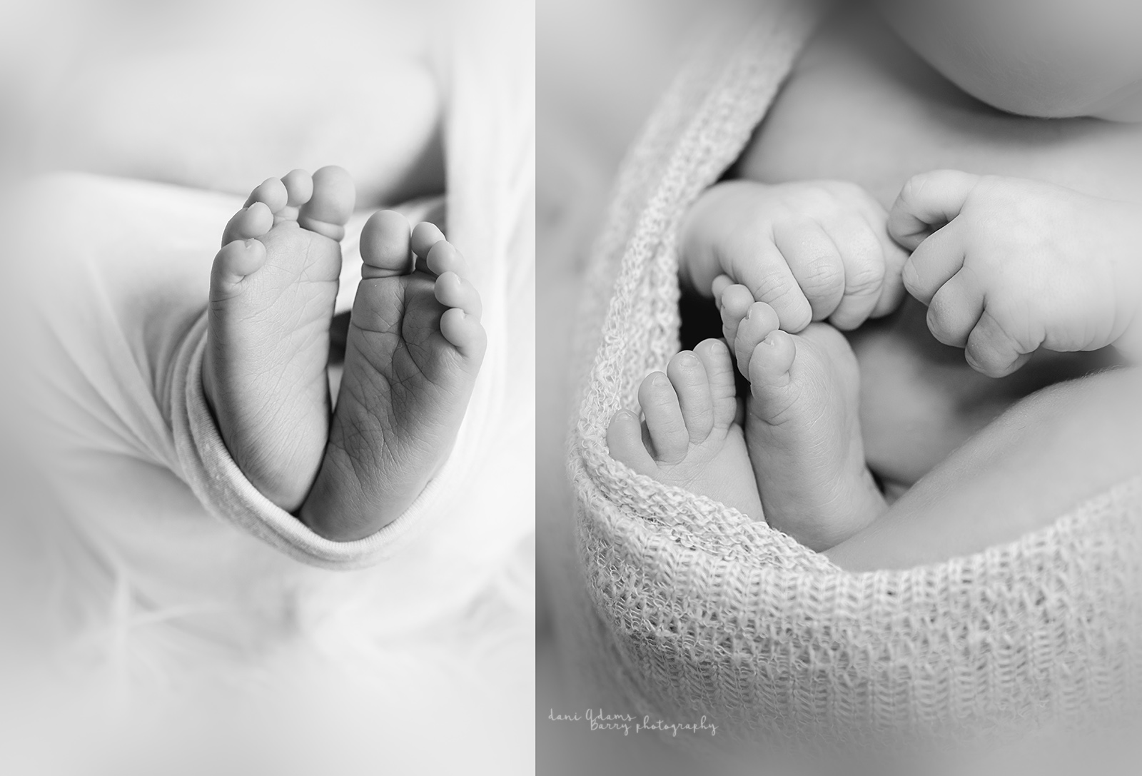 frisco newborn photographer