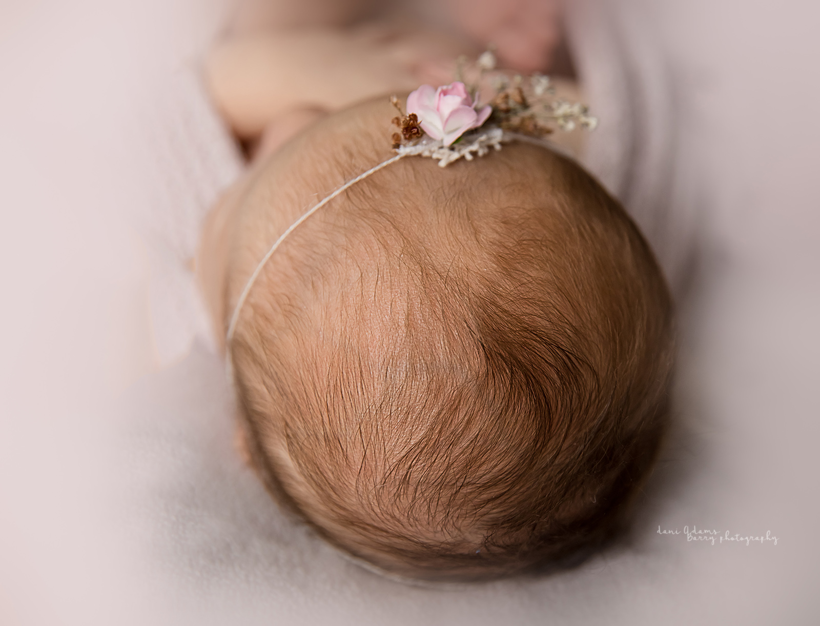 frisco newborn photography dallas