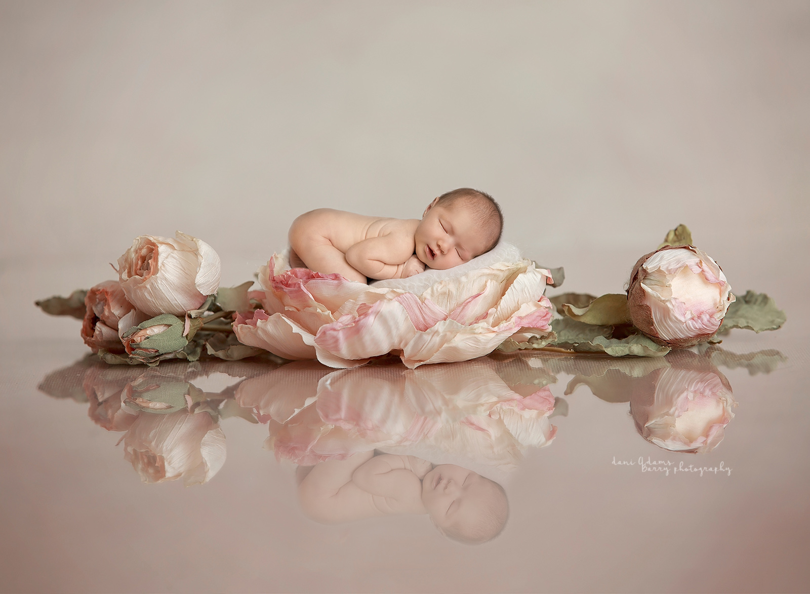 frisco newborn photography