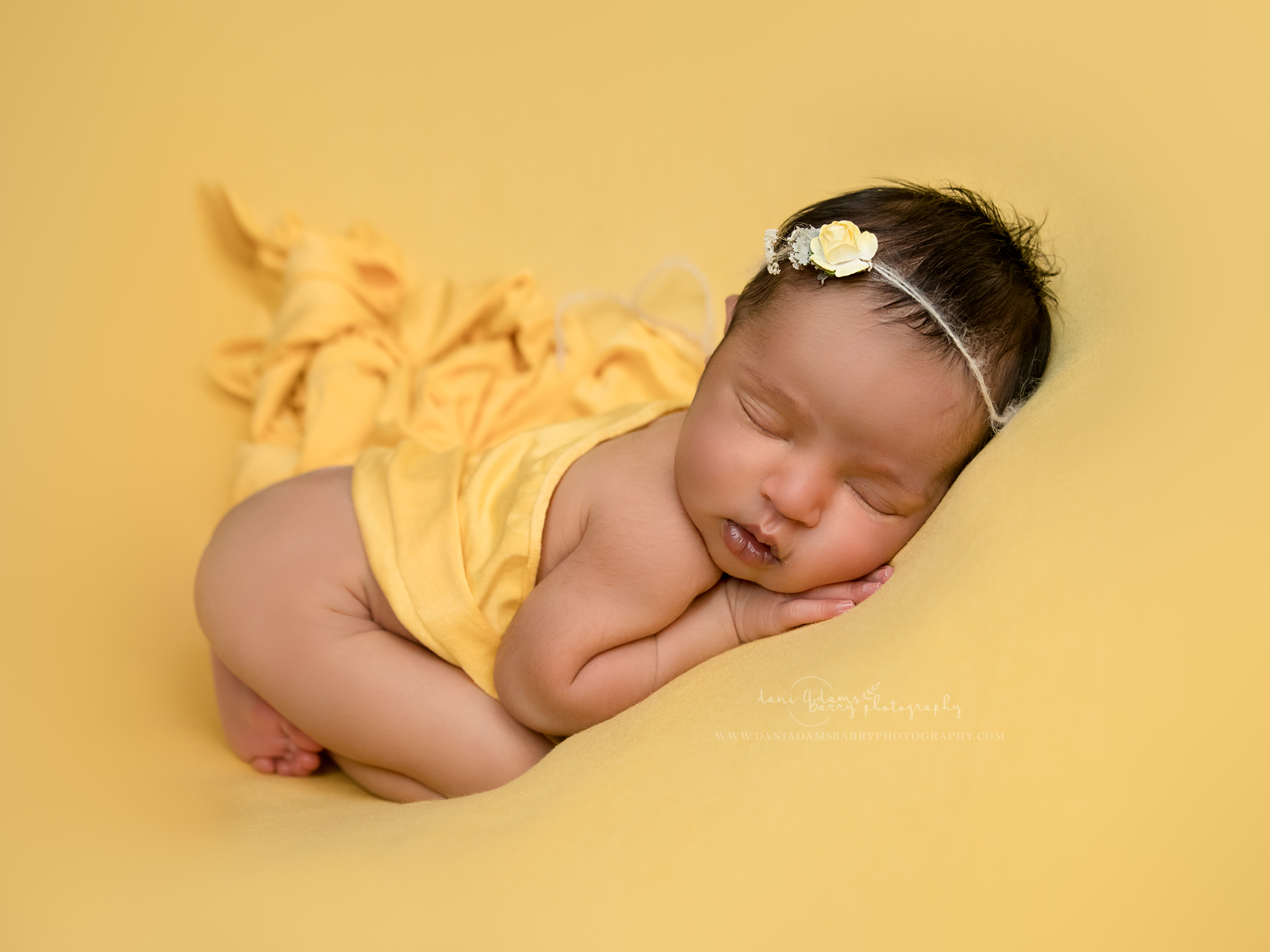 in home newborn photography dallas