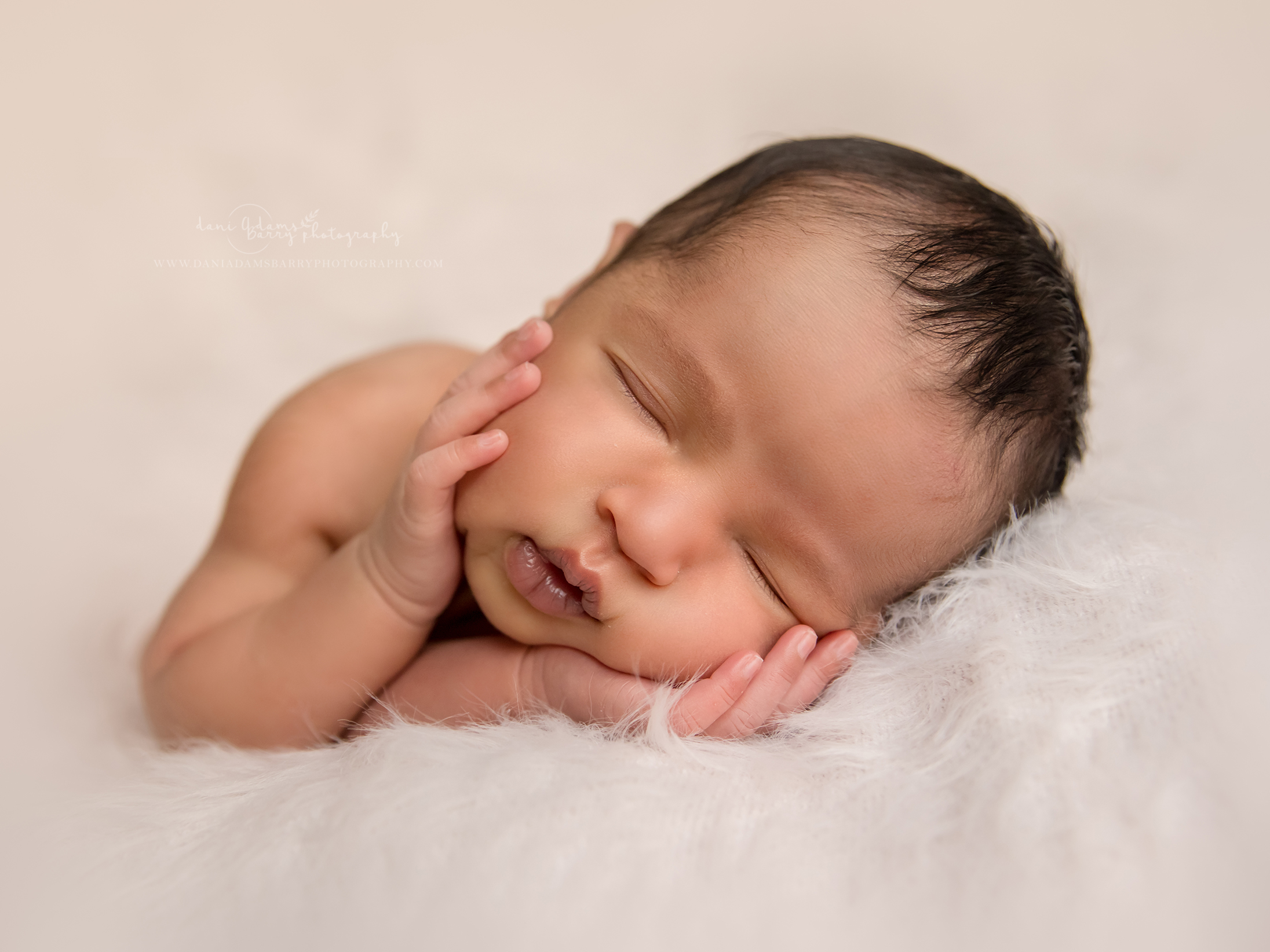 newborn photographer dallas tx