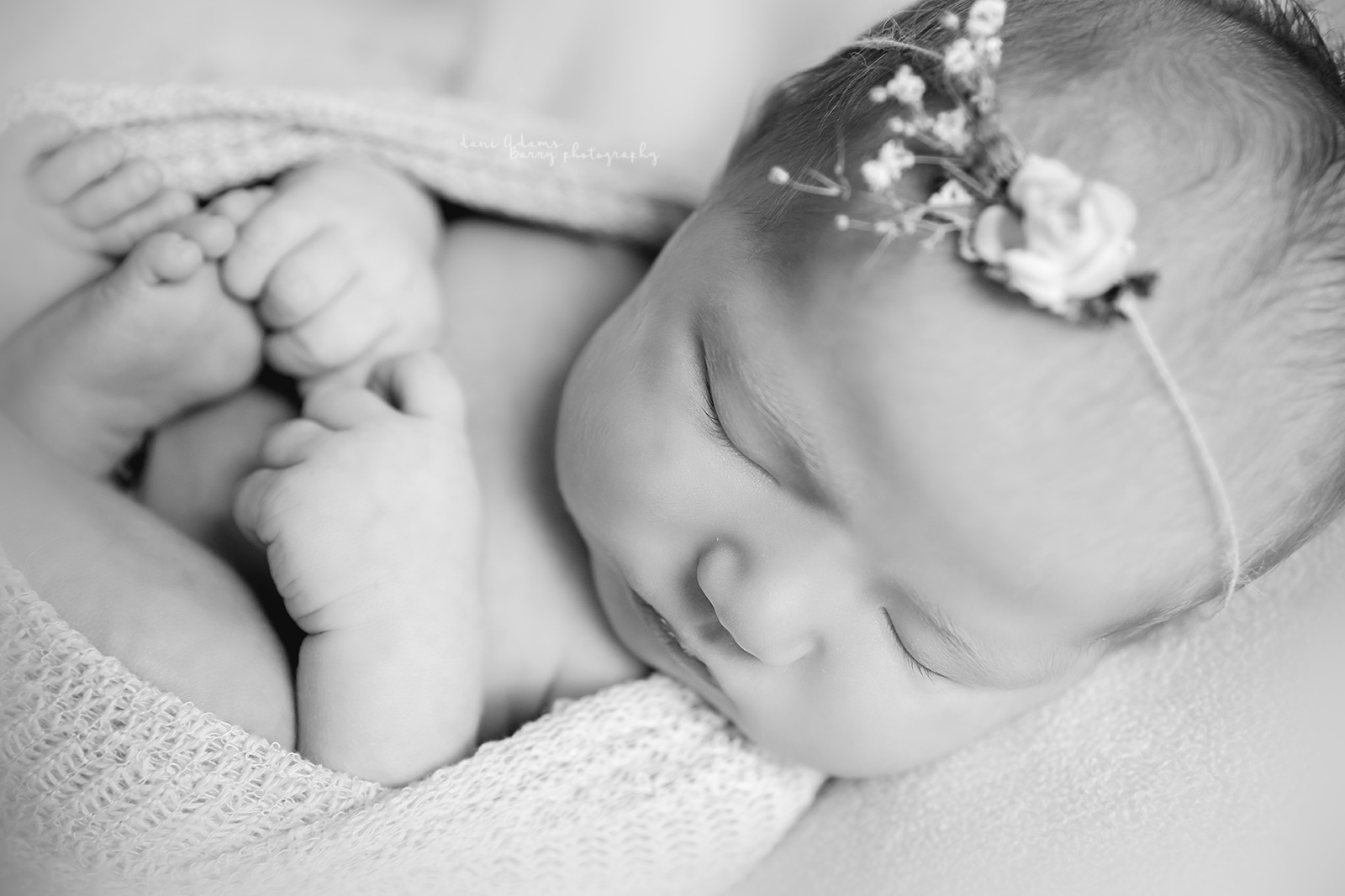 newborn photographer dallas