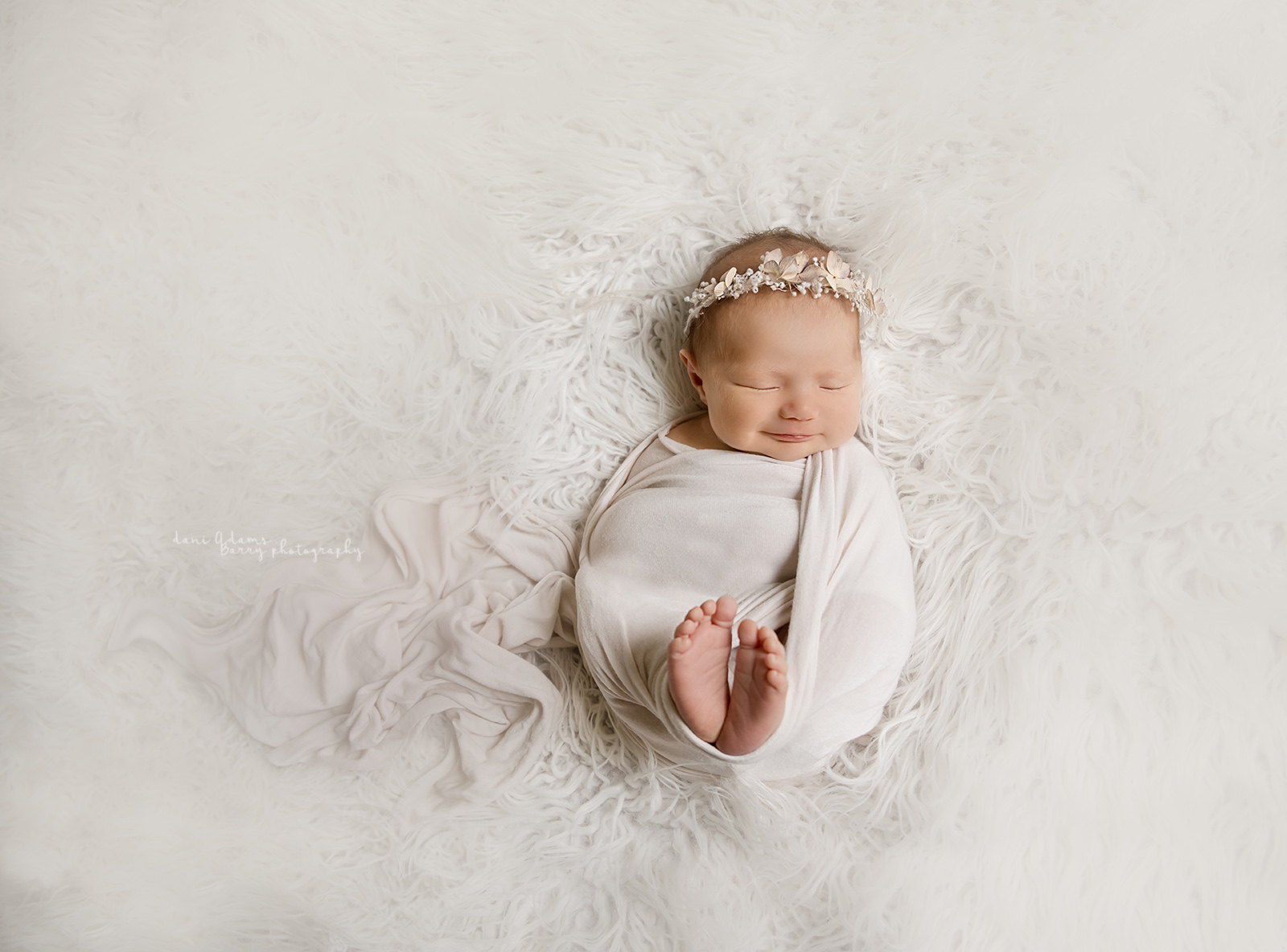 newborn photography dallas