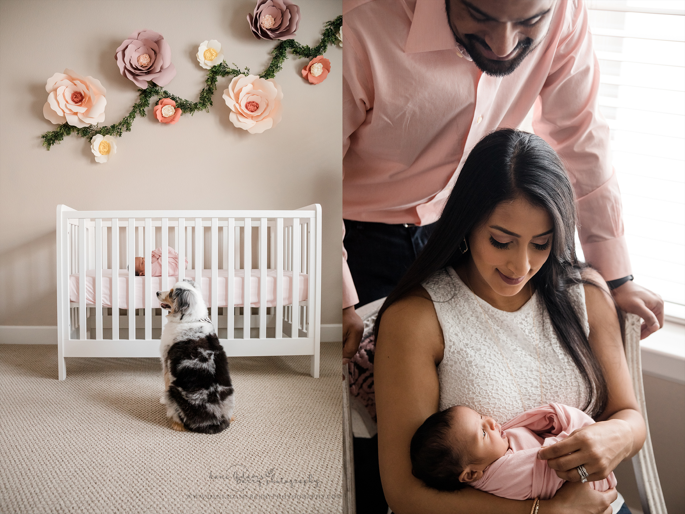 newborn photos dallas tx