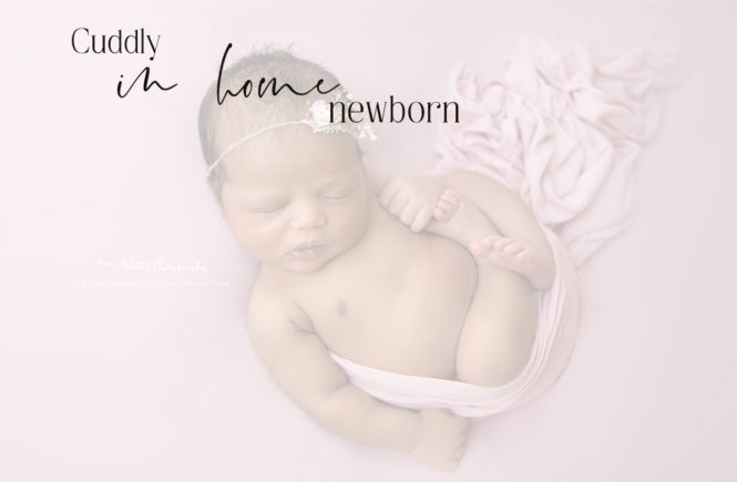 in home newborn photos dallas