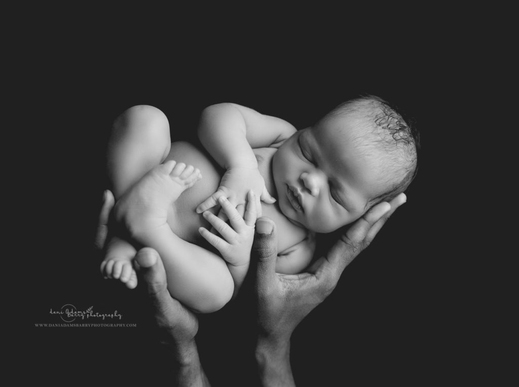 in home newborn in dad hands photo dallas