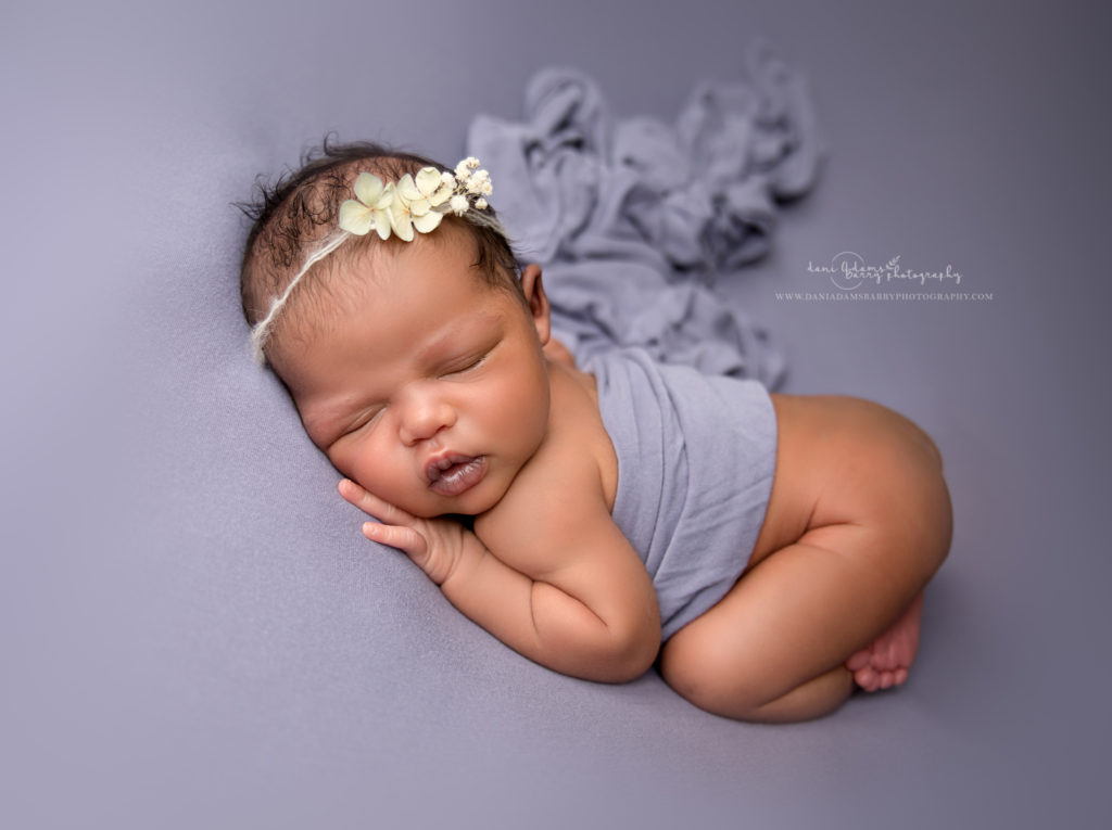 in home newborn photography dani adams barry