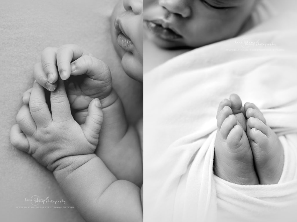 in home newborn photos dallas tx