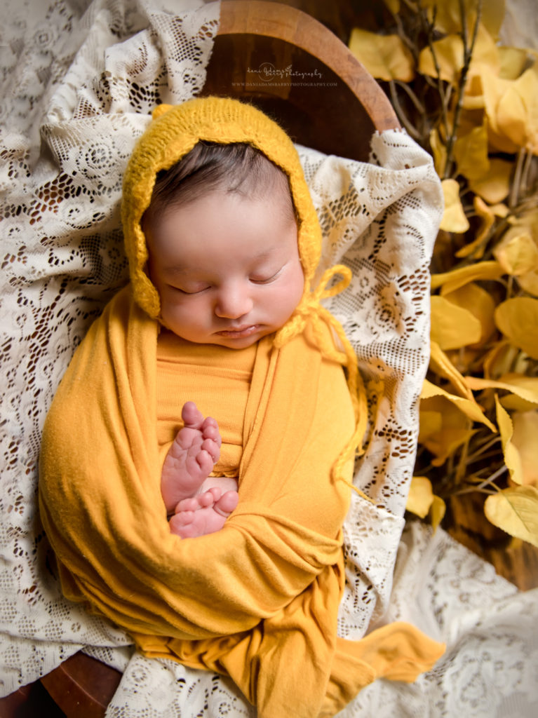 fall in home newborn photography dallas 