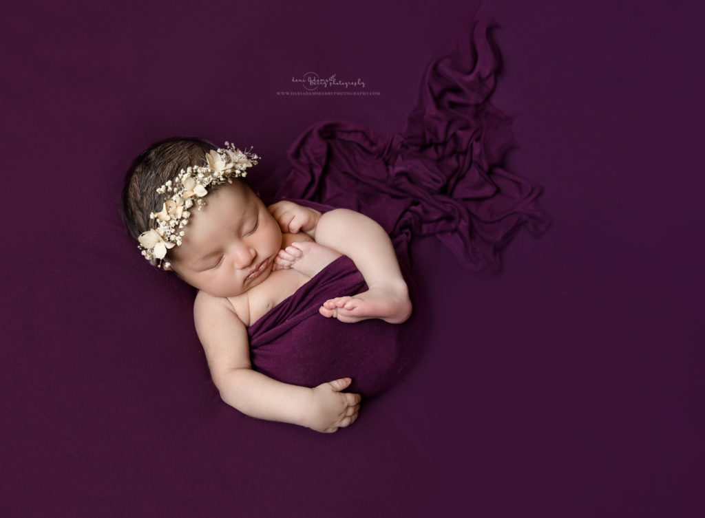 plum newborn photography
