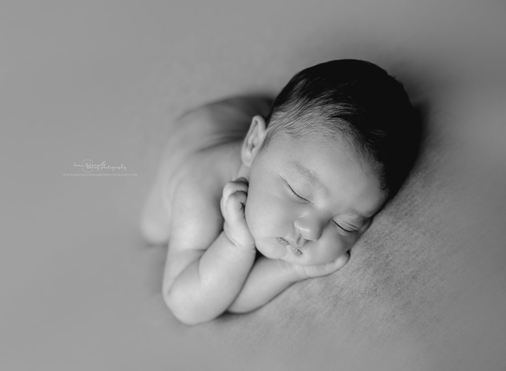 newborn photography dallas tx 