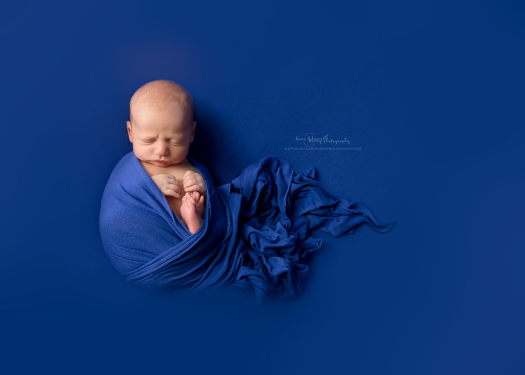 blue newborn photos 