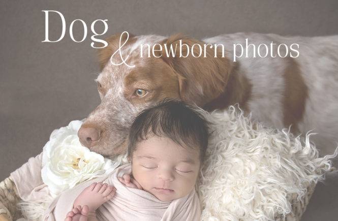 dog and newborn photography dallas tx