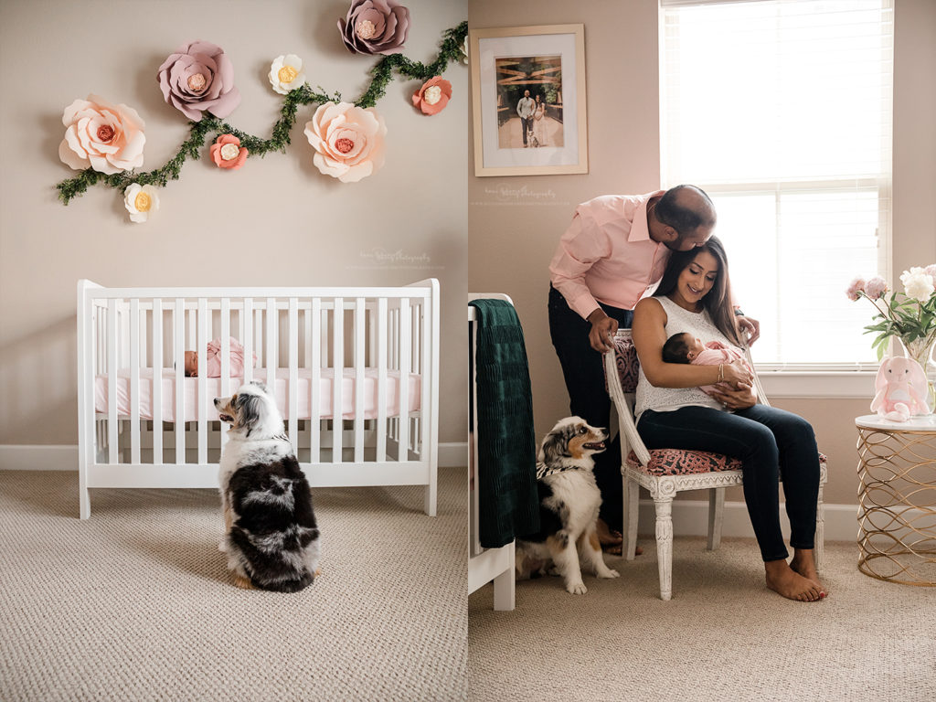 lifestyle dog and newborn photos