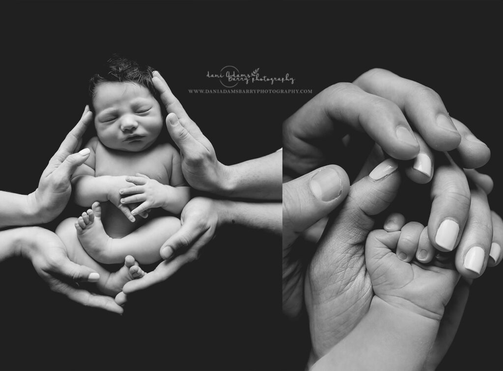 newborn hands photos