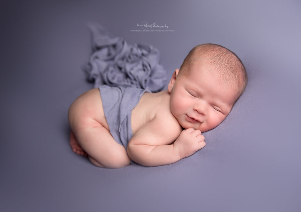 newborn lavedar photos