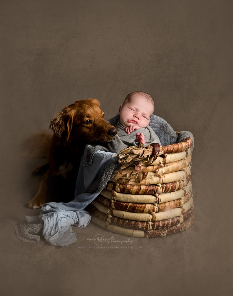 dog and newborn