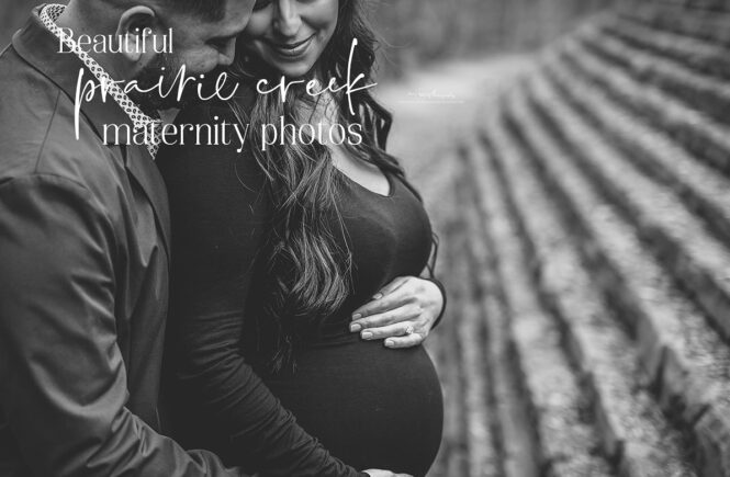 maternity photos