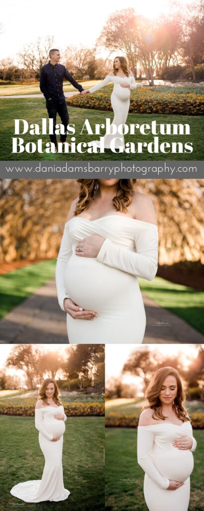Dallas Arboretum Maternity Photography - Texas Maternity Photographer Dallas Botanical Gardens