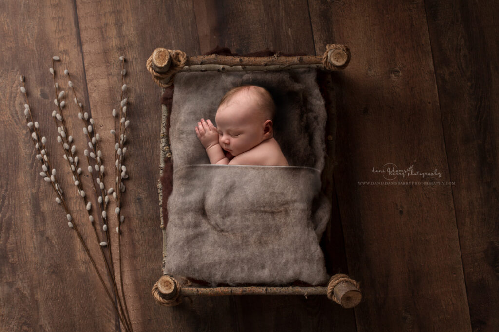 newborn in a woodland bed