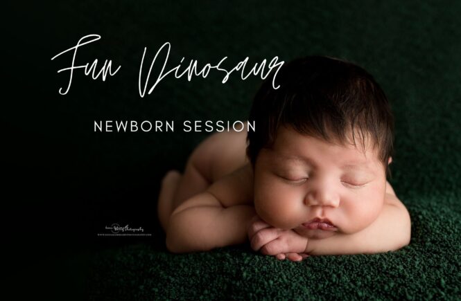 dinosaur theme newborn photos