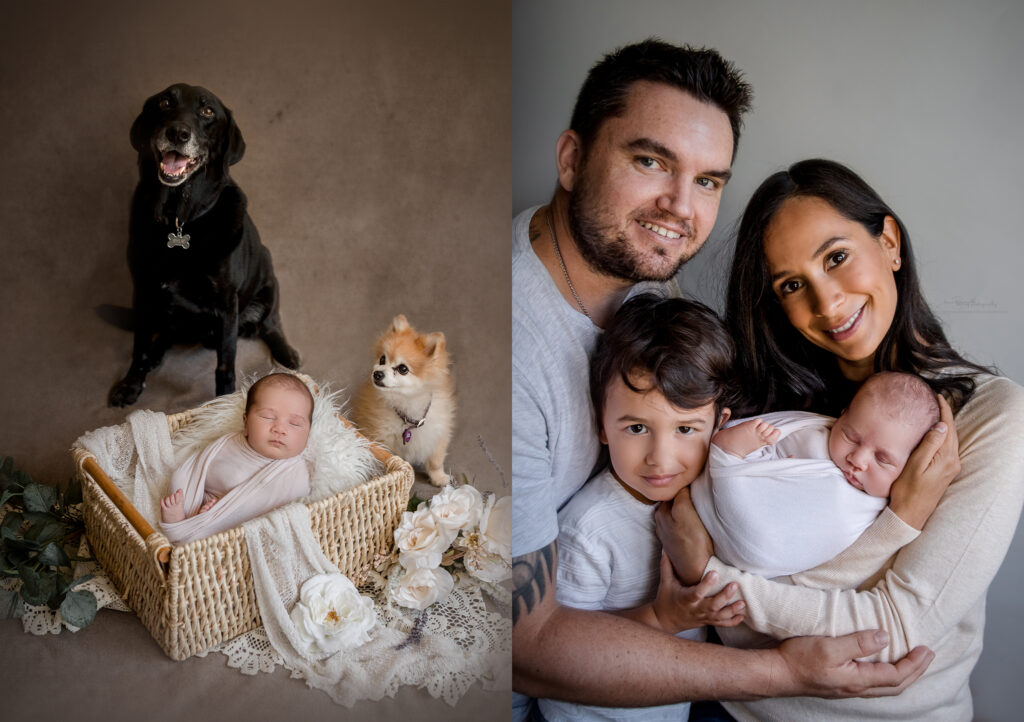 newborn and dog photos with family