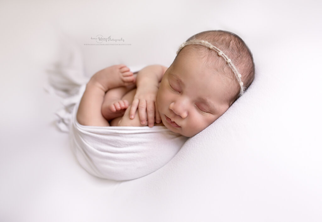 newborn white backdrop newborn photography dallas