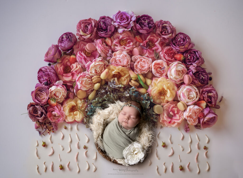 rainbow baby floral newborn photography
