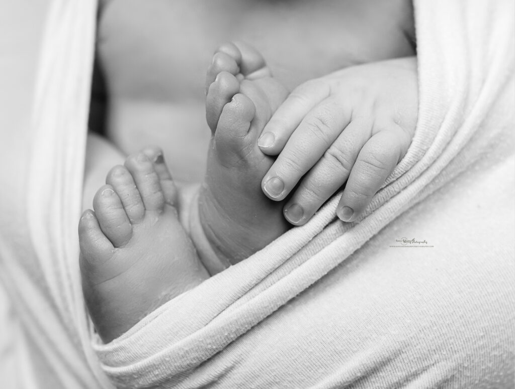 rainbow baby newborn photography highland park texas