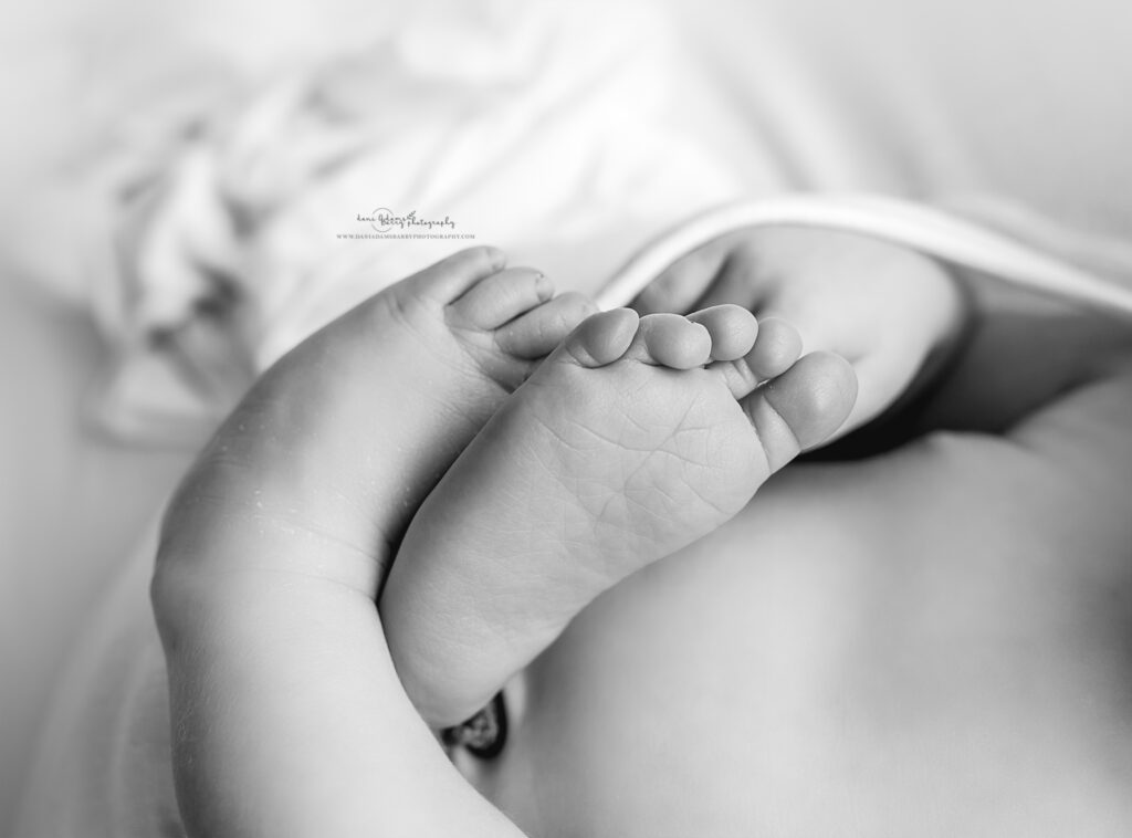newborn feet detail photos dallas tx
