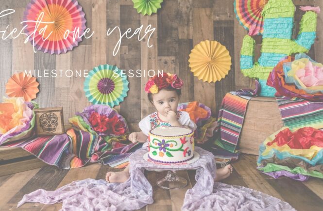 Fiesta One Year Milestone Photography session