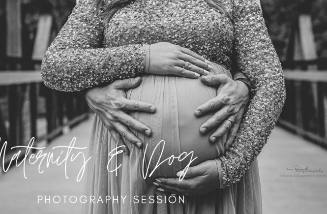 Maternity Photography Dallas with Dog
