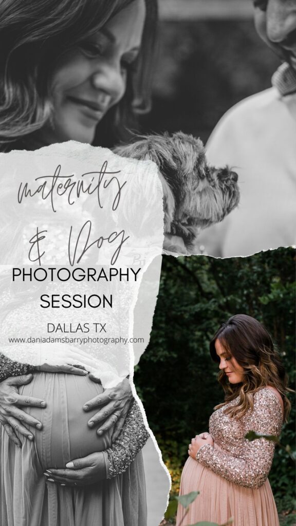 Maternity Photos with Dog, Dallas Texas -Dallas Photographer