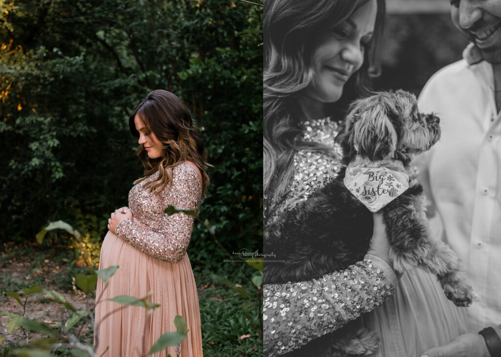 maternity pictures with dog