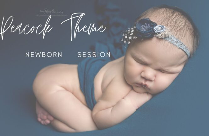 Bohemian Peacock Newborn Photography