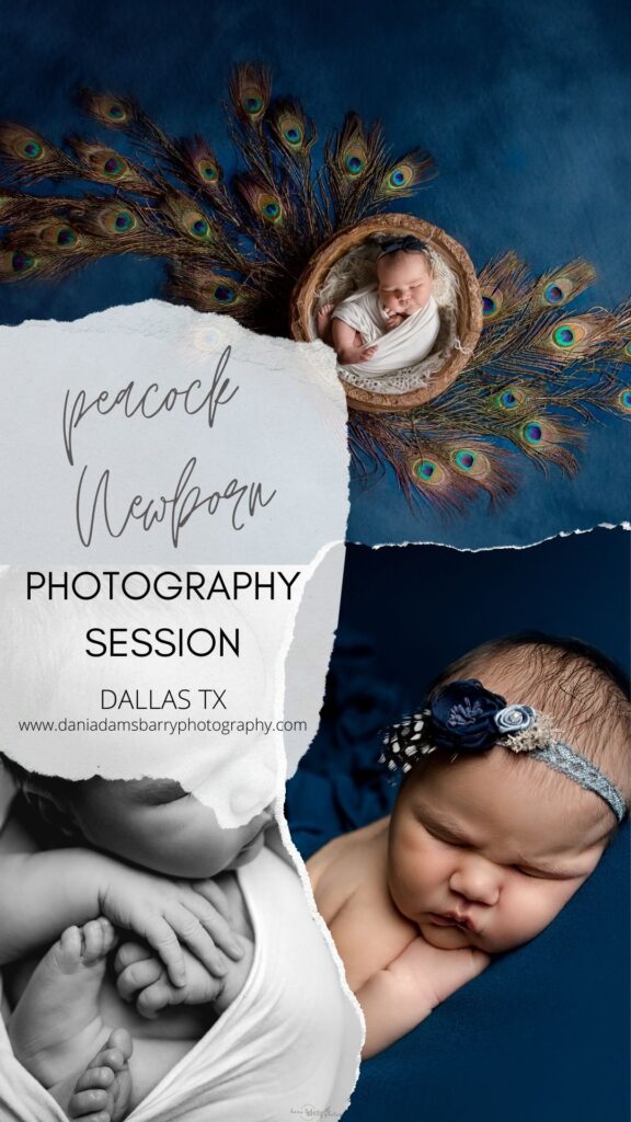 Boho Newborn Photos , Peacock Newborn photography , Newborn Girl Photo ideas