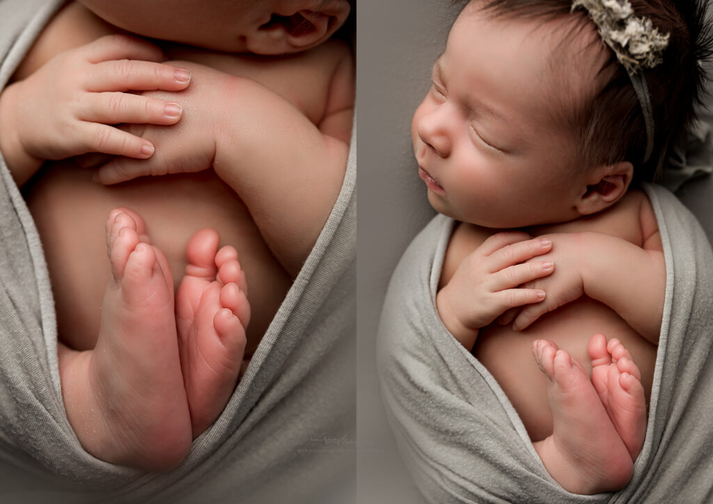 floral newborn photos