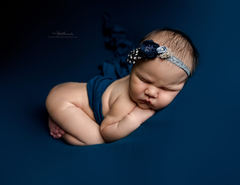 newborn peacock theme photography