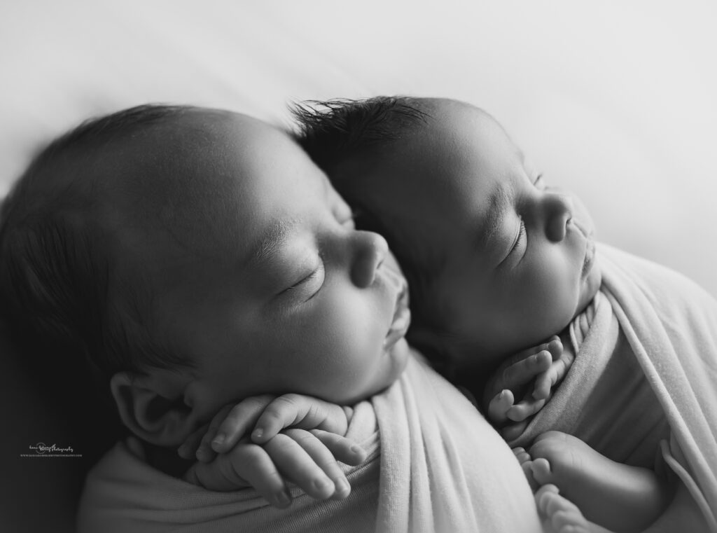 twins newborn photos